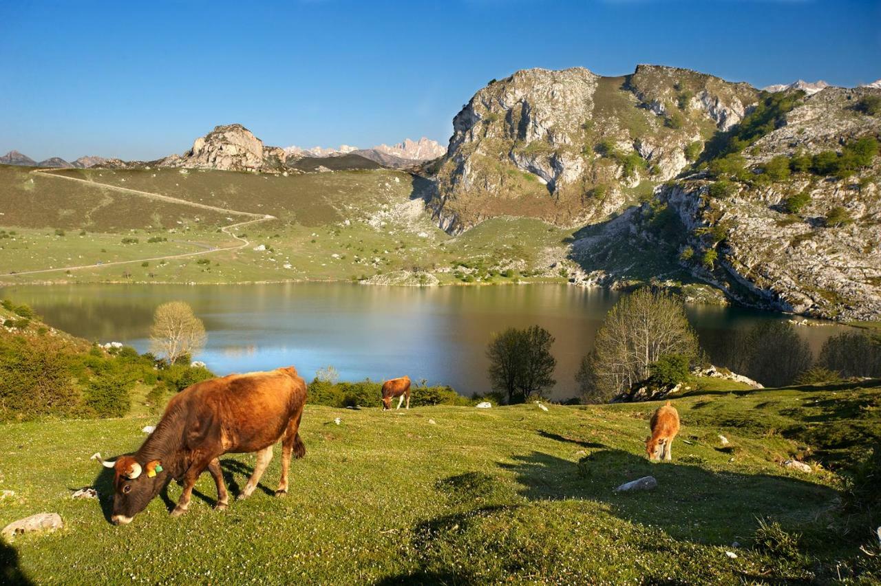 Appartamento Casa Mamina Siero Esterno foto